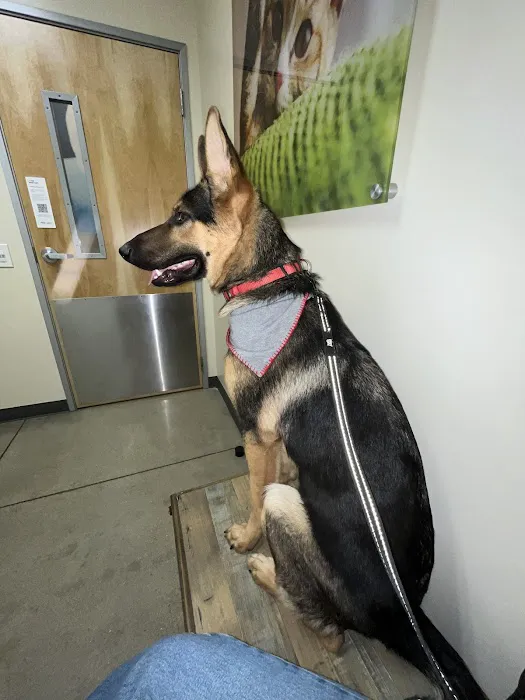 Vetco Total Care Animal Hospital Picture 6