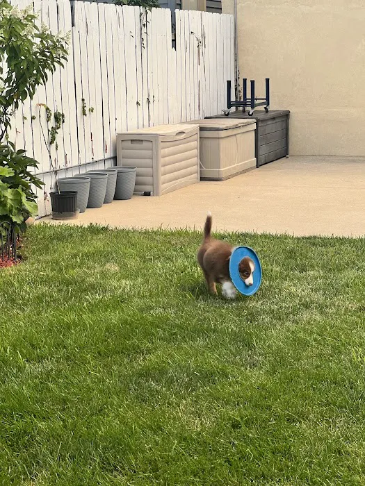 Fullerton Animal Clinic Picture 3