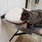 Vetco Vaccination Clinic