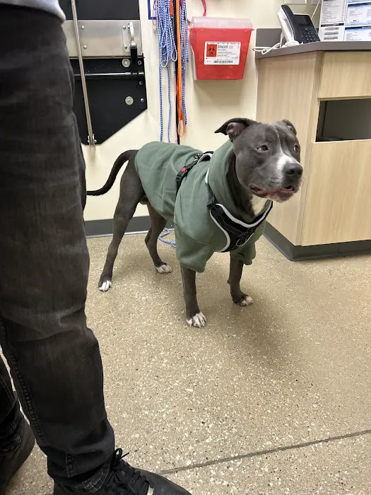 Vetco Total Care Animal Hospital Picture 2