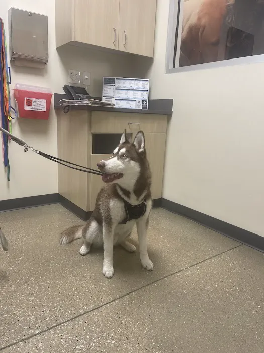 Vetco Total Care Animal Hospital Picture 9