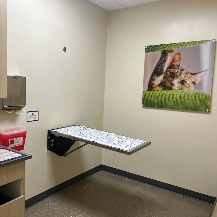 Vetco Total Care Animal Hospital Picture 5