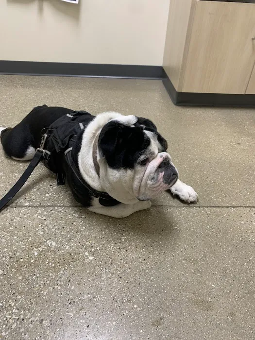 Vetco Total Care Animal Hospital Picture 7