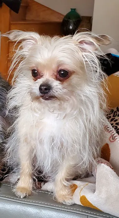 Cragin Animal Hospital Picture 7