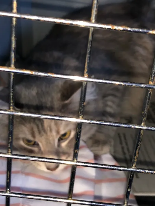 Cragin Animal Hospital Picture 1