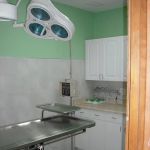 Chicago Pet Clinic