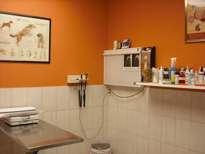 Chicago Pet Clinic Picture 3