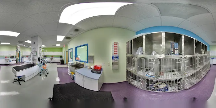 Portage Park Animal Hospital Picture 4