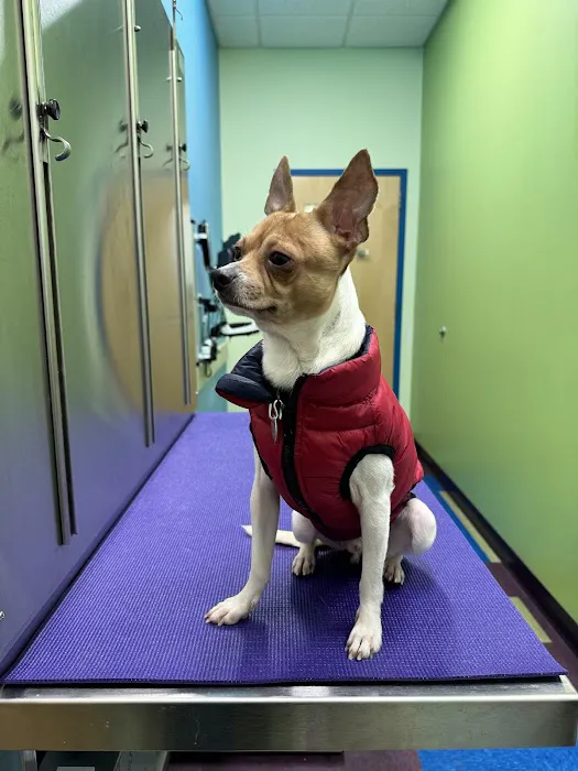 Portage Park Animal Hospital Picture 7