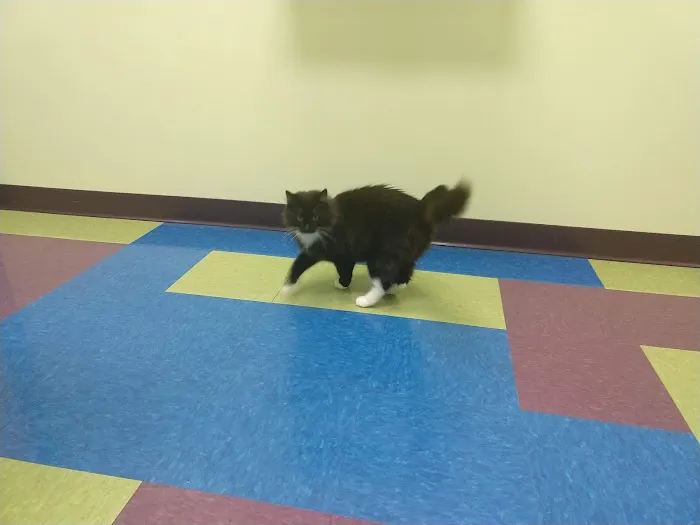 Portage Park Animal Hospital Picture 6