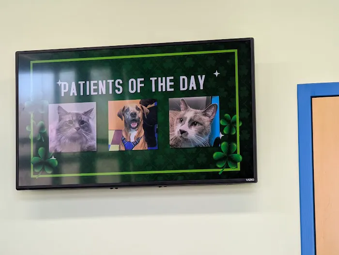 Portage Park Animal Hospital Picture 8