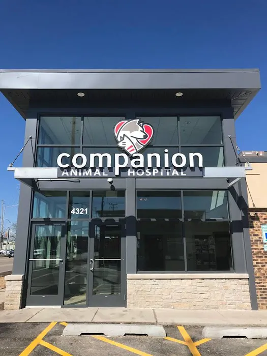 Companion Animal Hospital of Norridge Picture 3