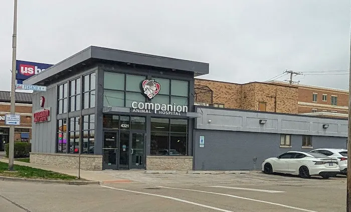Companion Animal Hospital of Norridge Picture 1