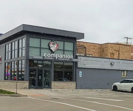 Companion Animal Hospital of Norridge