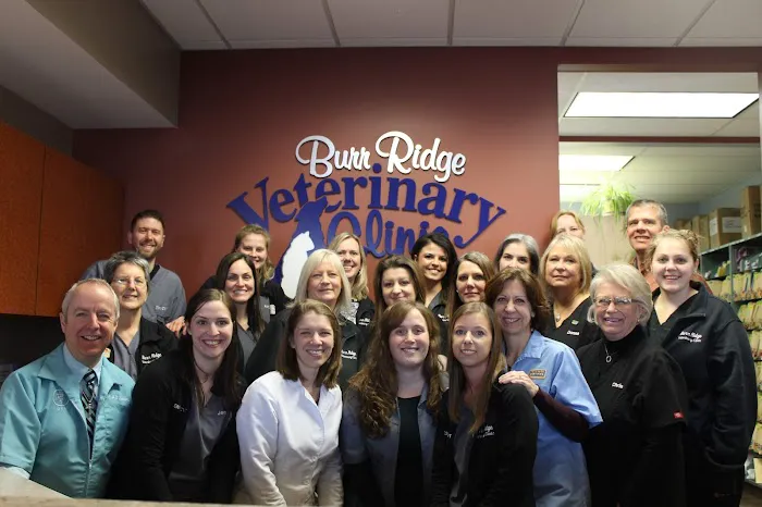 Burr Ridge Veterinary Clinic Picture 2