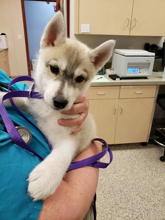 Burr Ridge Veterinary Clinic Picture 8
