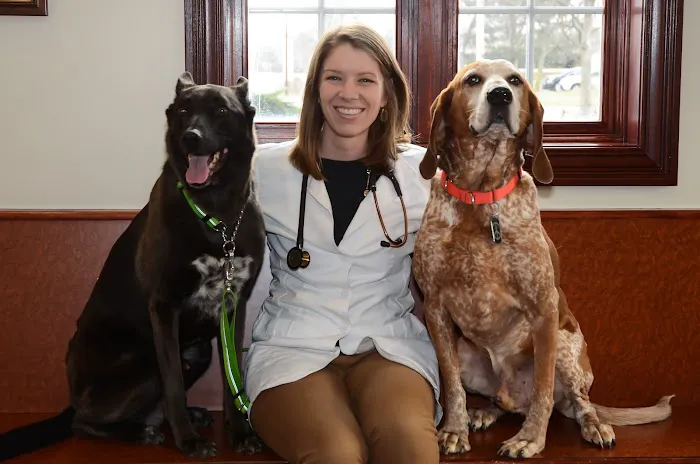 Burr Ridge Veterinary Clinic Picture 10