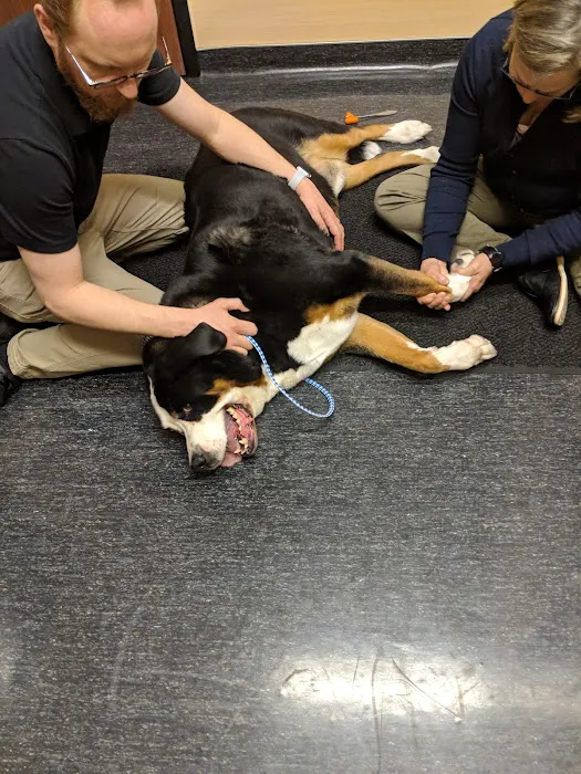 Village Veterinary Practice Picture 9