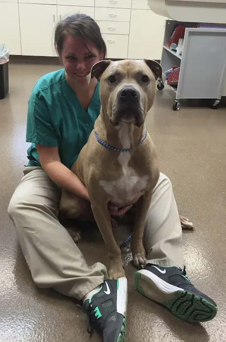 VCA West Suburban Veterinary Hospital Picture 3