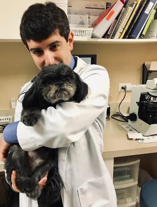 VCA West Suburban Veterinary Hospital Picture 10