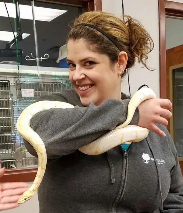 VCA West Suburban Veterinary Hospital Picture 4