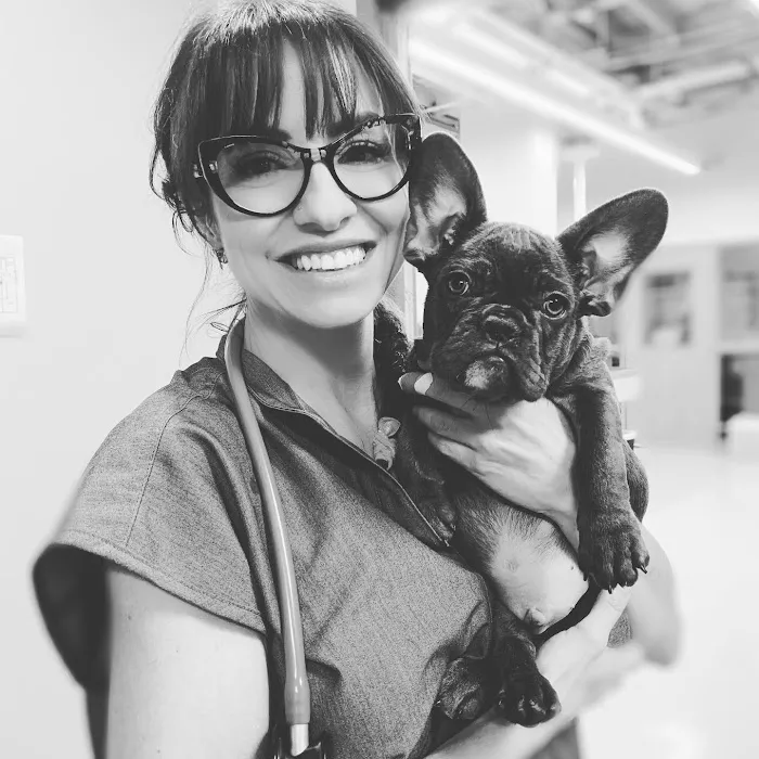 Urban Veterinary Associates Picture 5