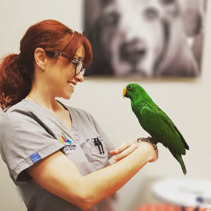 Urban Veterinary Associates Picture 7