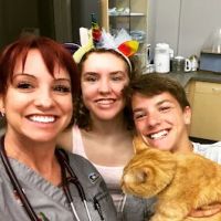 Urban Veterinary Associates ico