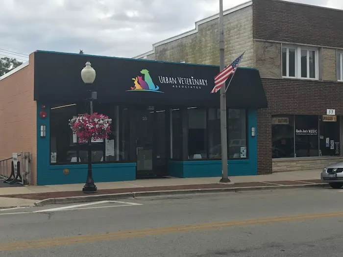 Urban Veterinary Associates Picture 3