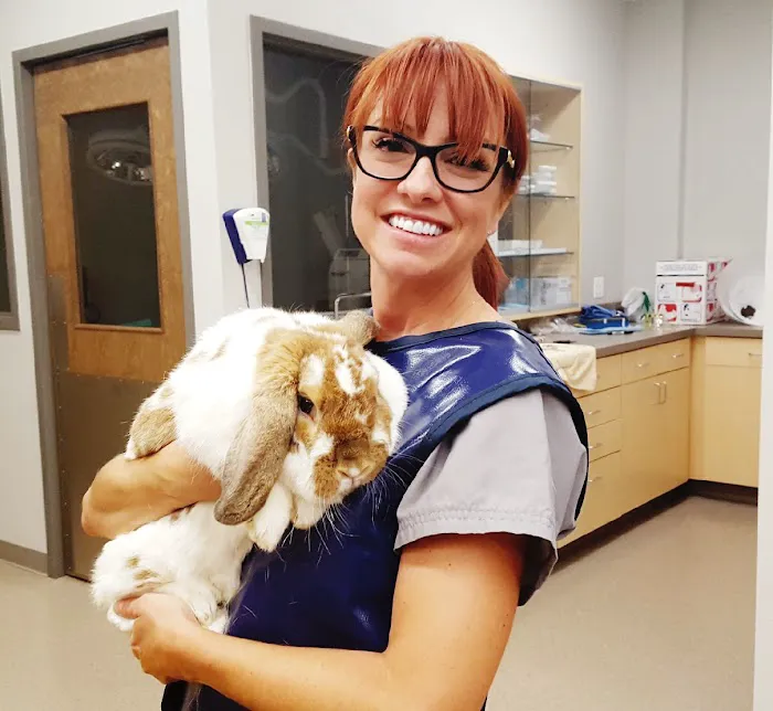 Urban Veterinary Associates Picture 10