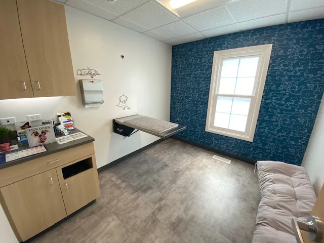 Thrive Pet Healthcare - Elmhurst Picture 1