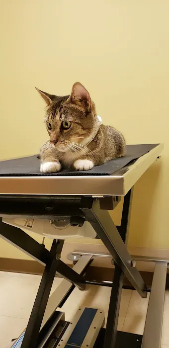 Northlake Animal Hospital Picture 3