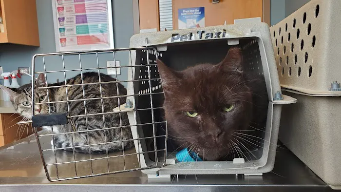 Northlake Animal Hospital Picture 2