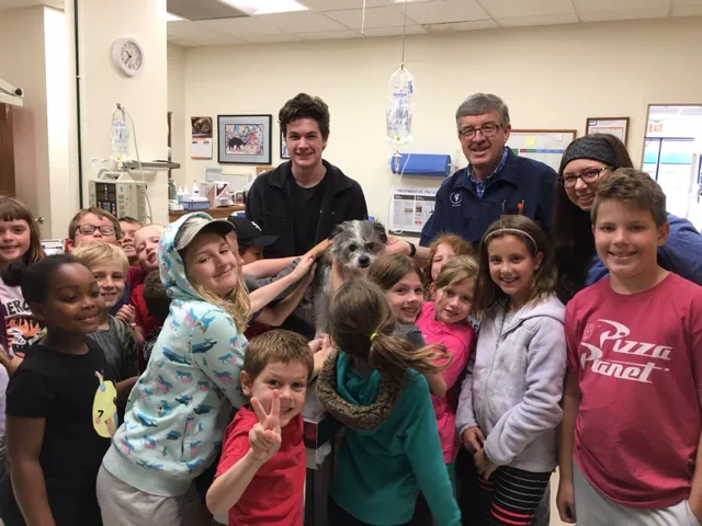DeVries Animal Hospital Picture 3