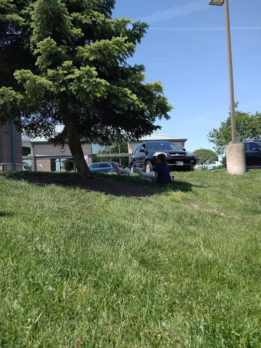 Elmhurst Animal Care Center Picture 6