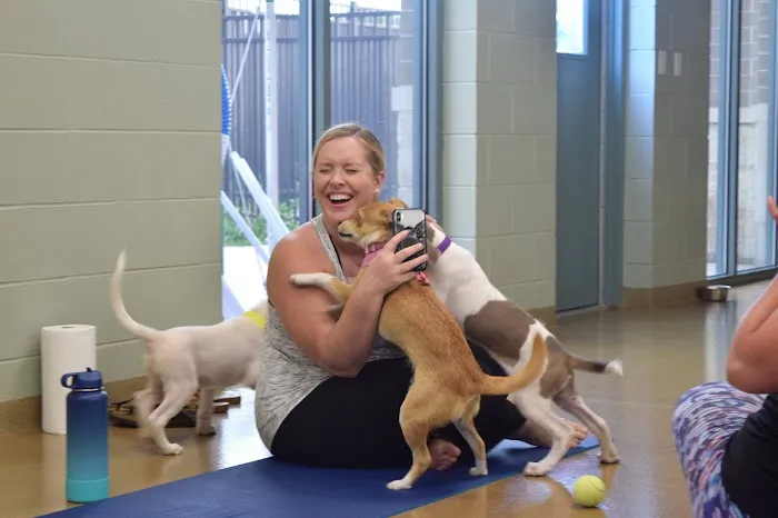 Elmhurst Animal Care Center Picture 5