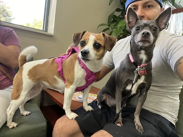 Elmhurst Animal Care Center Picture 9