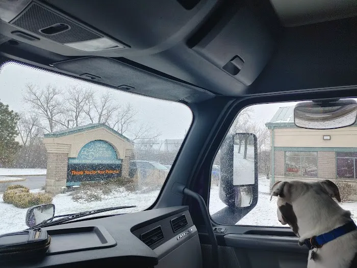 Elmhurst Animal Care Center Picture 10