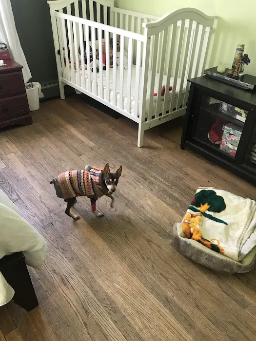 VCA Franklin Park Animal Hospital Picture 5