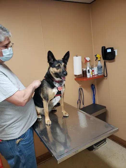 Animal Care Hospital of Schiller Park Picture 8
