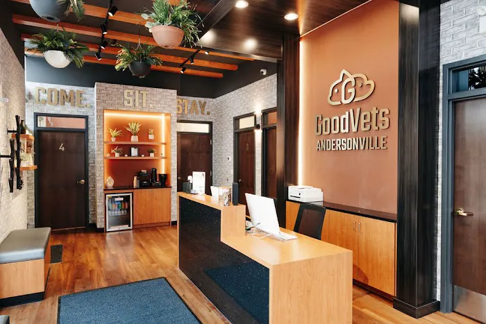 GoodVets Andersonville Picture 3