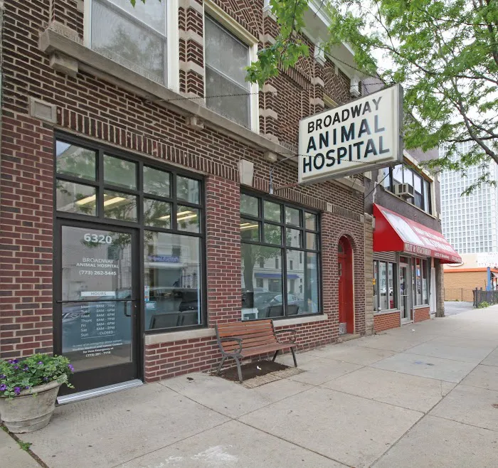 Broadway Animal Hospital Picture 3