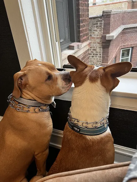 Broadway Animal Hospital Picture 10