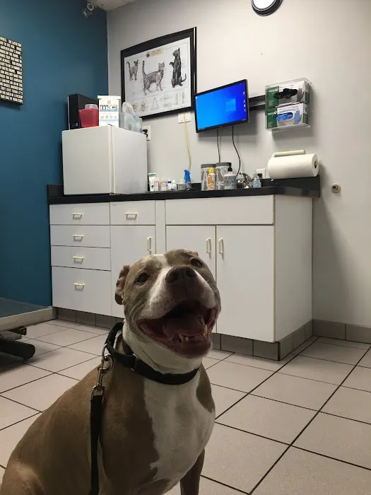 Mayfair Animal Clinic PC - Chicago, IL Picture 4