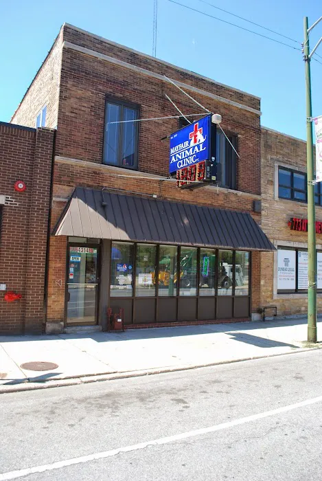 Mayfair Animal Clinic PC - Chicago, IL Picture 9