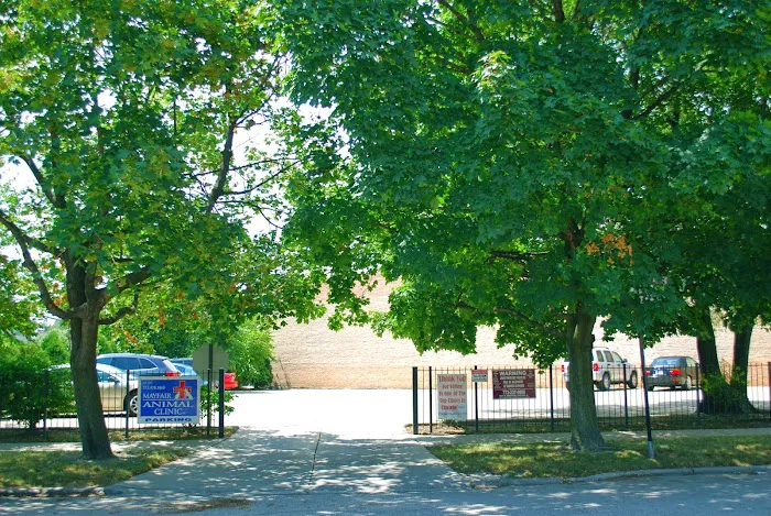 Mayfair Animal Clinic PC - Chicago, IL Picture 3
