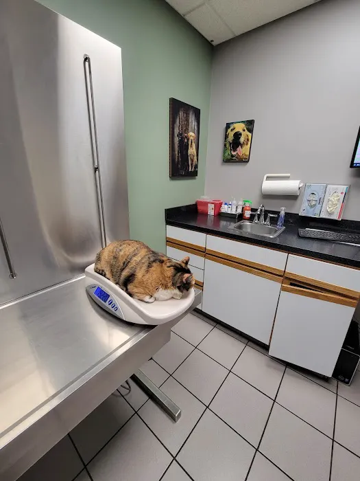 Mayfair Animal Clinic PC - Chicago, IL Picture 5