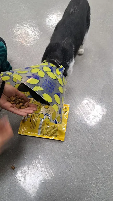 Paws and Feathers Emergency Hospital Picture 5