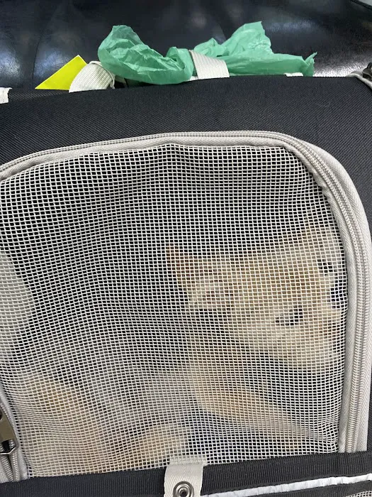 Paws and Feathers Emergency Hospital Picture 8