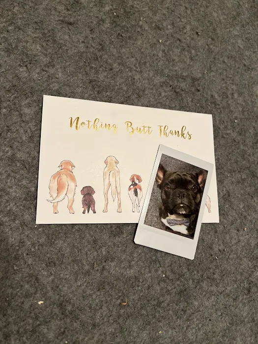 Paws and Feathers Emergency Hospital Picture 4